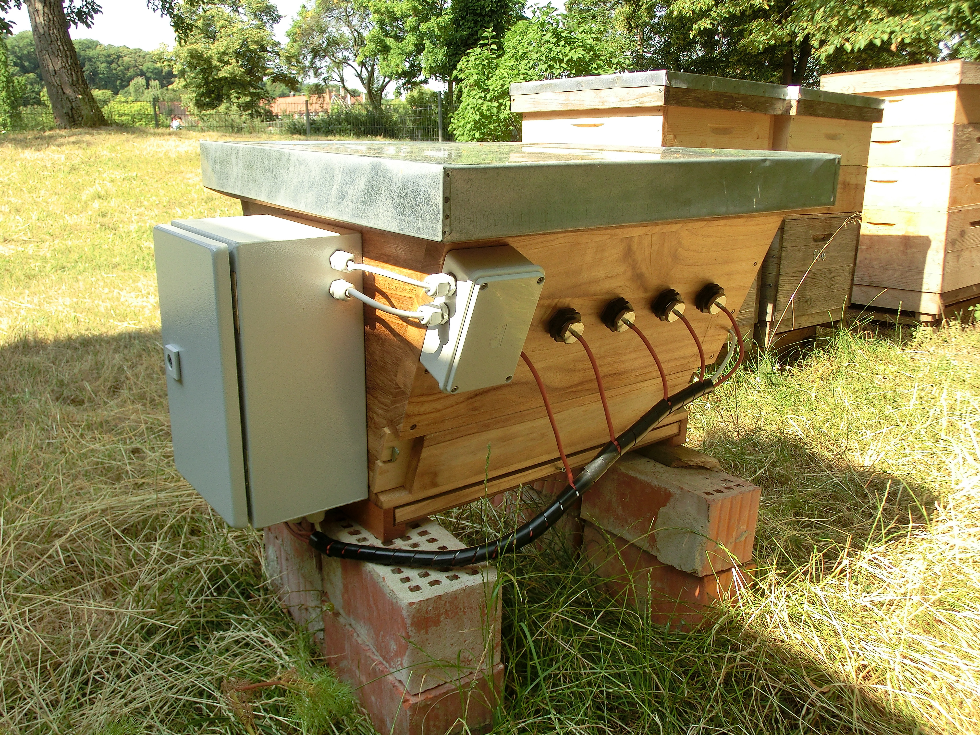 HOBeebox